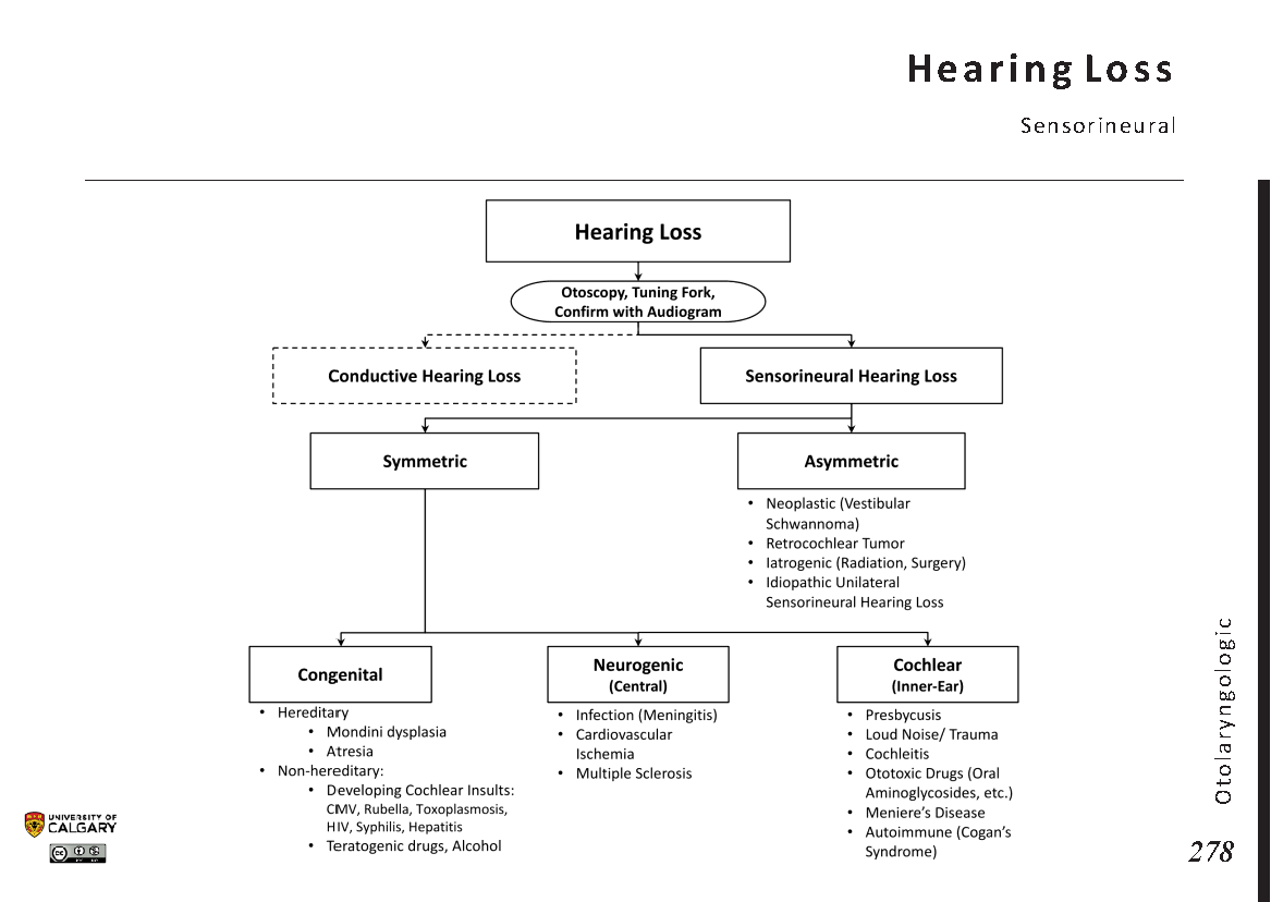 HEARING LOSS: Sensorineural Scheme