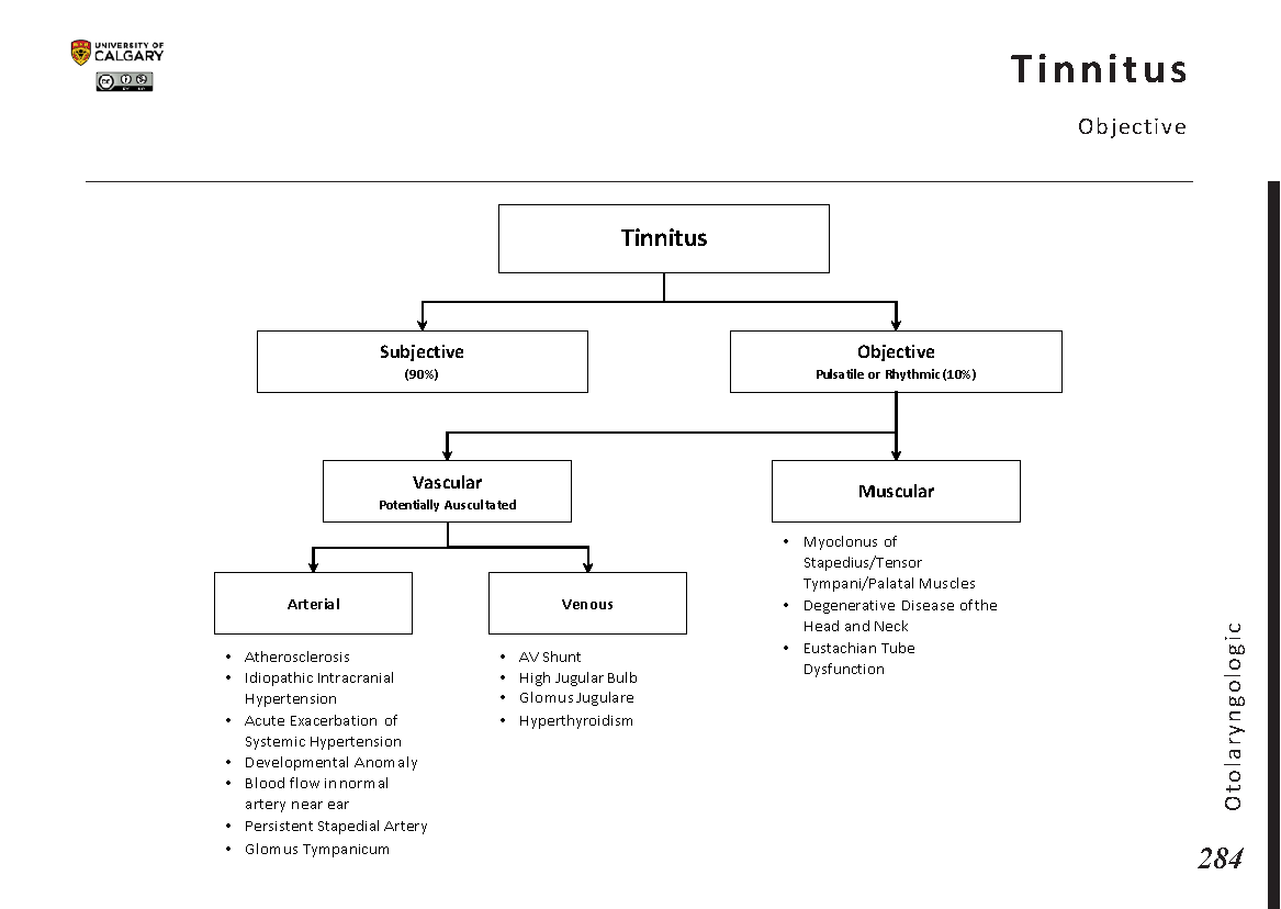 TINNITUS: Objective Scheme