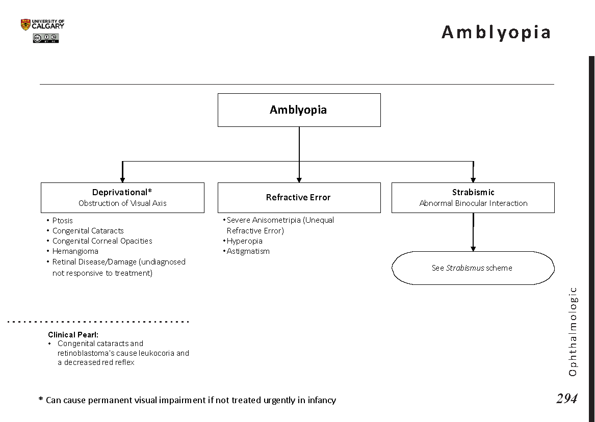AMBLYOPIA Scheme