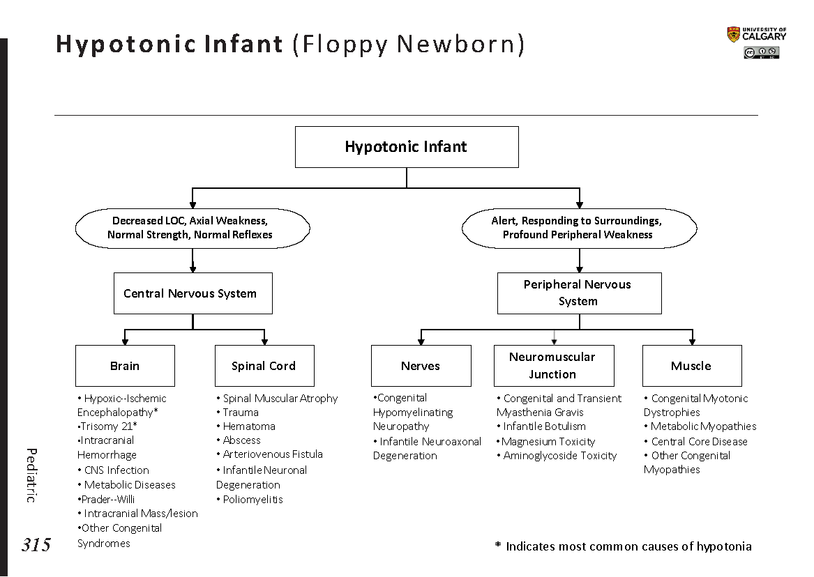 HYPTONIC INFANT (Floppy Newborn) Blackbook Blackbook