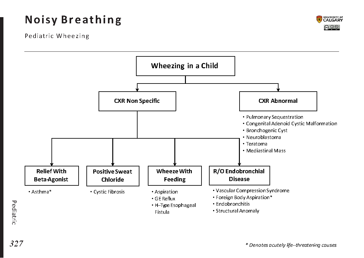 noisy-breathing-pediatric-wheezing-blackbook-blackbook