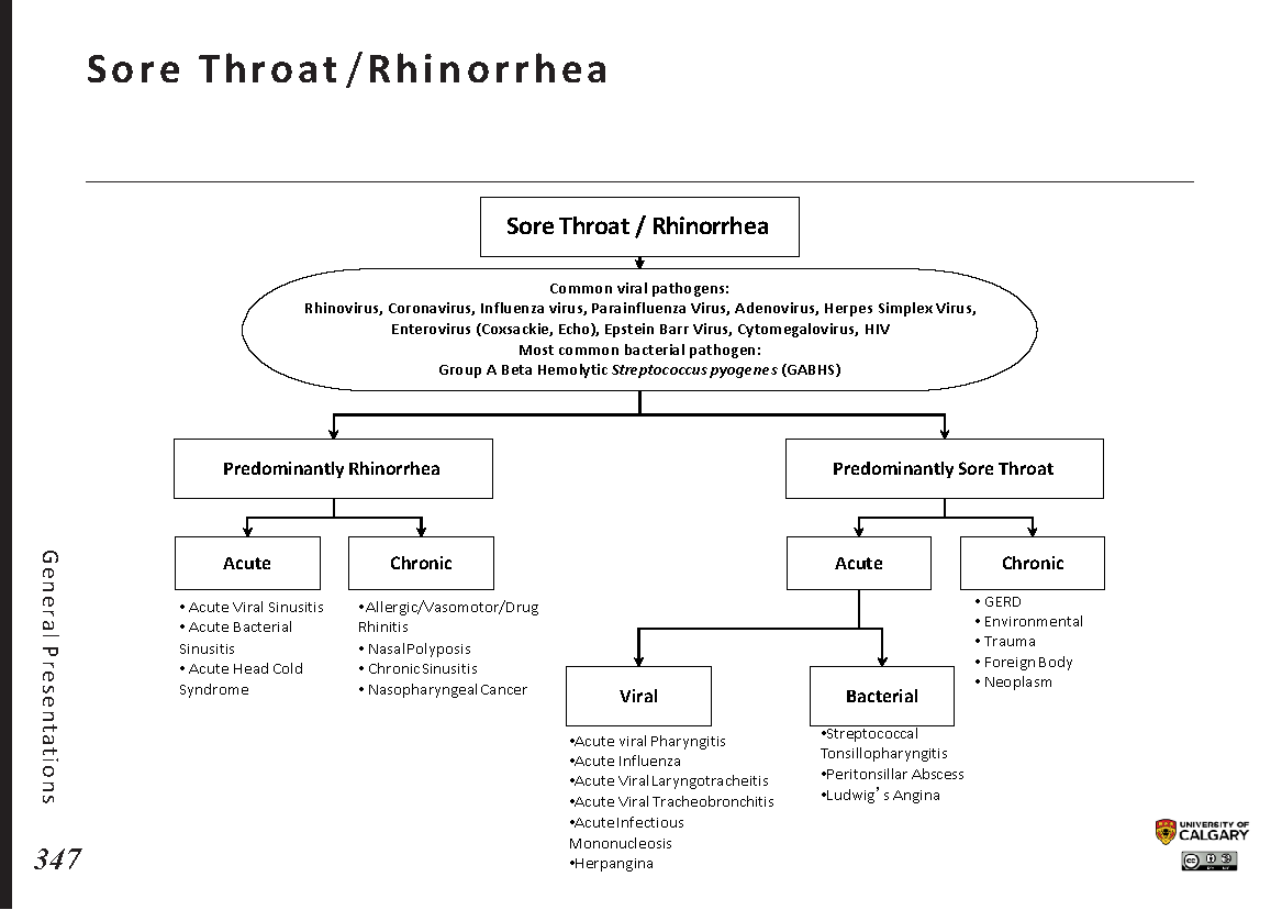 SORE THROAT / RHINORRHEA Scheme