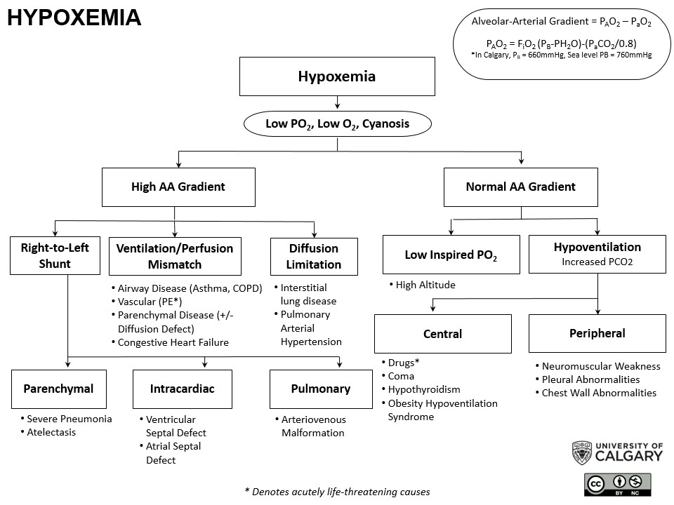 HYPOXEMIA Scheme