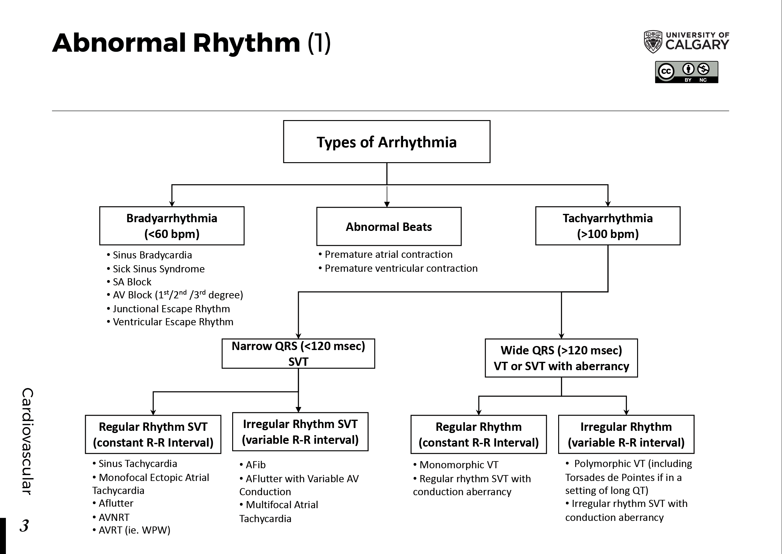 ABNORMAL RHYTHM (1) Scheme