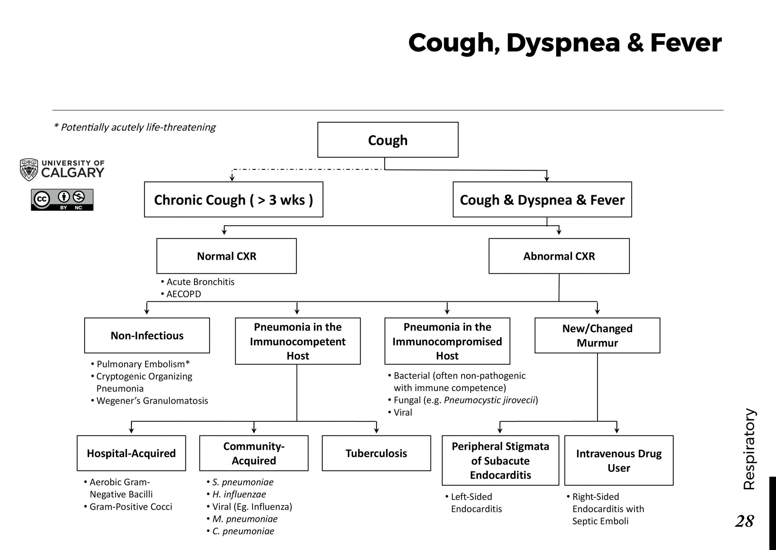 COUGH: Dyspnea & Fever Scheme