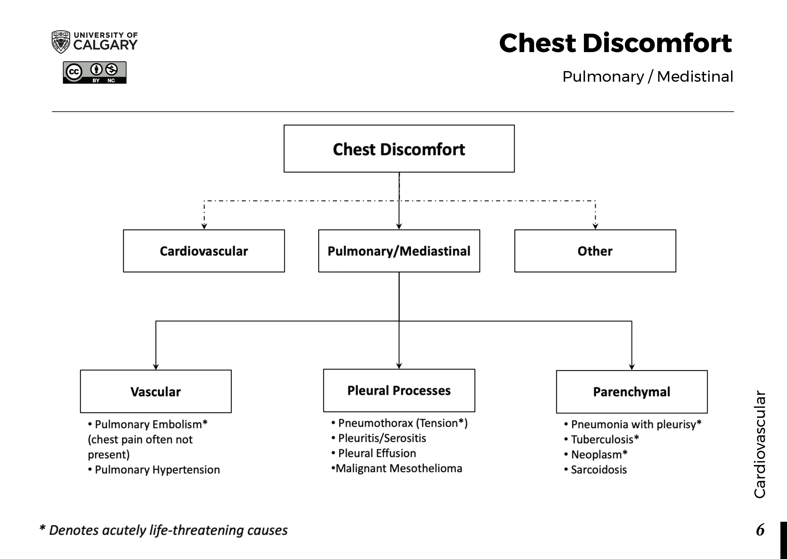 CHEST DISCOMFORT: Pulmonary / Mediastinal Scheme