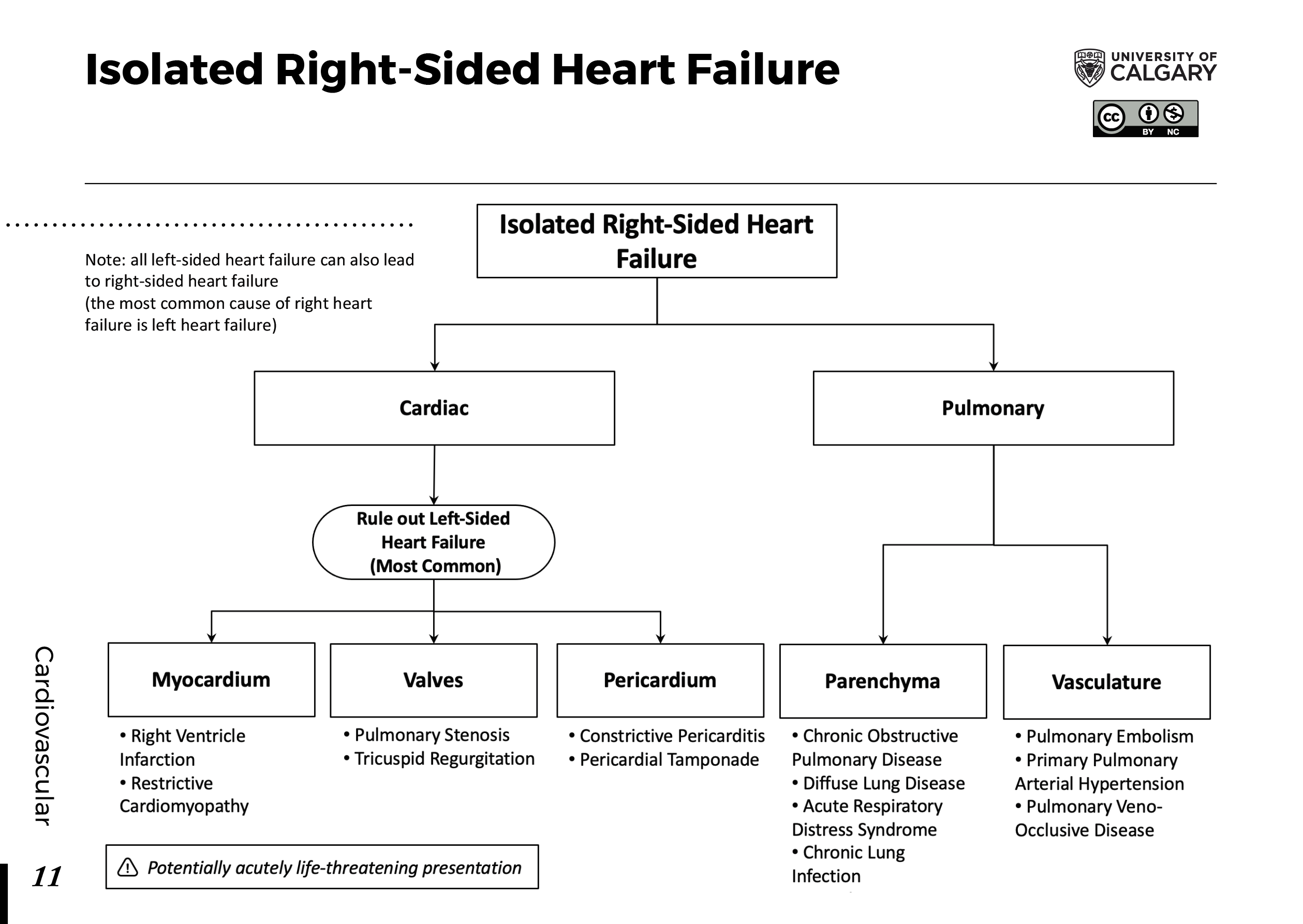 ISOLATED RIGHT-SIDED HEART FAILURE Scheme