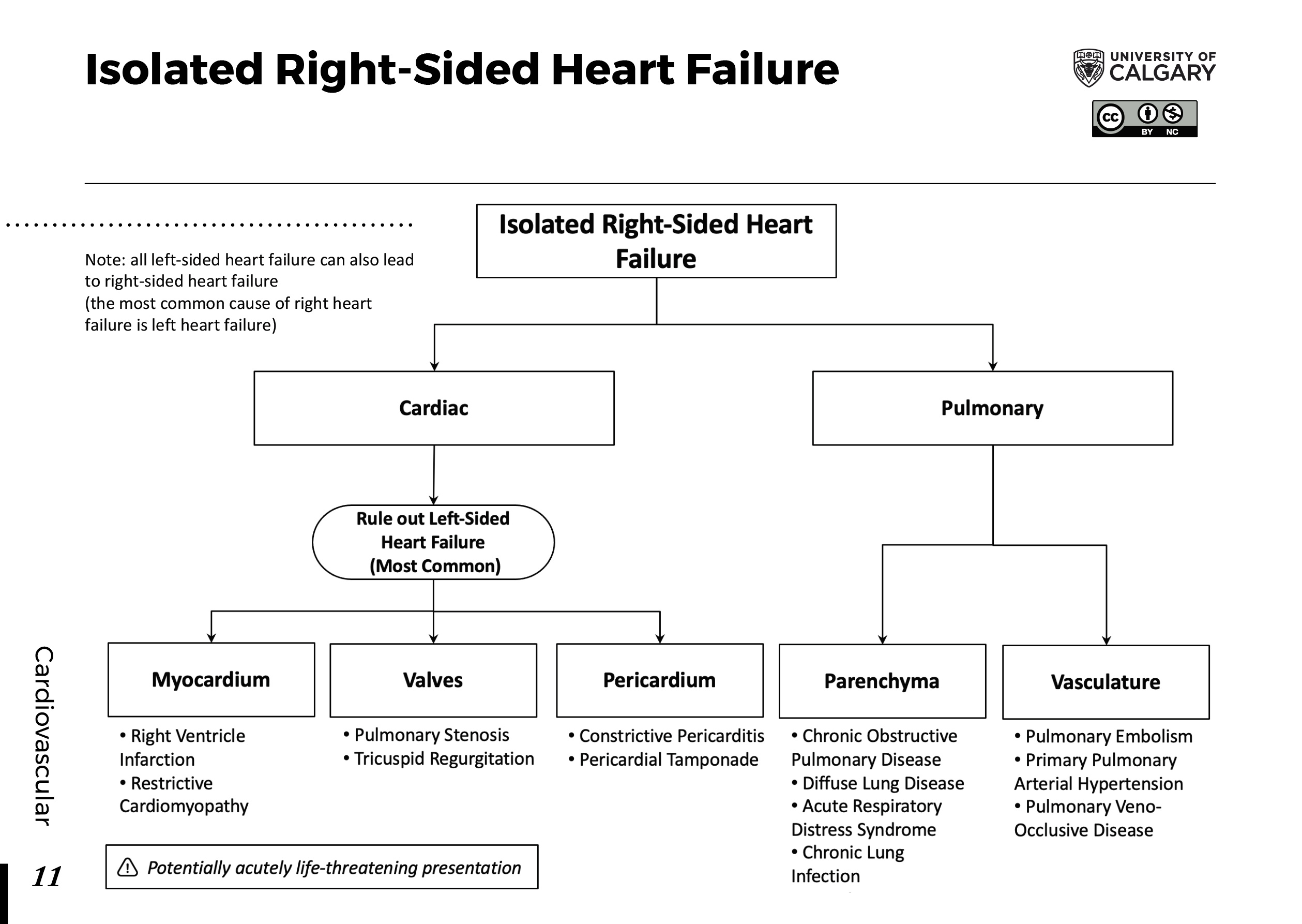 Understanding Right-Sided Heart Failure and its Impact on