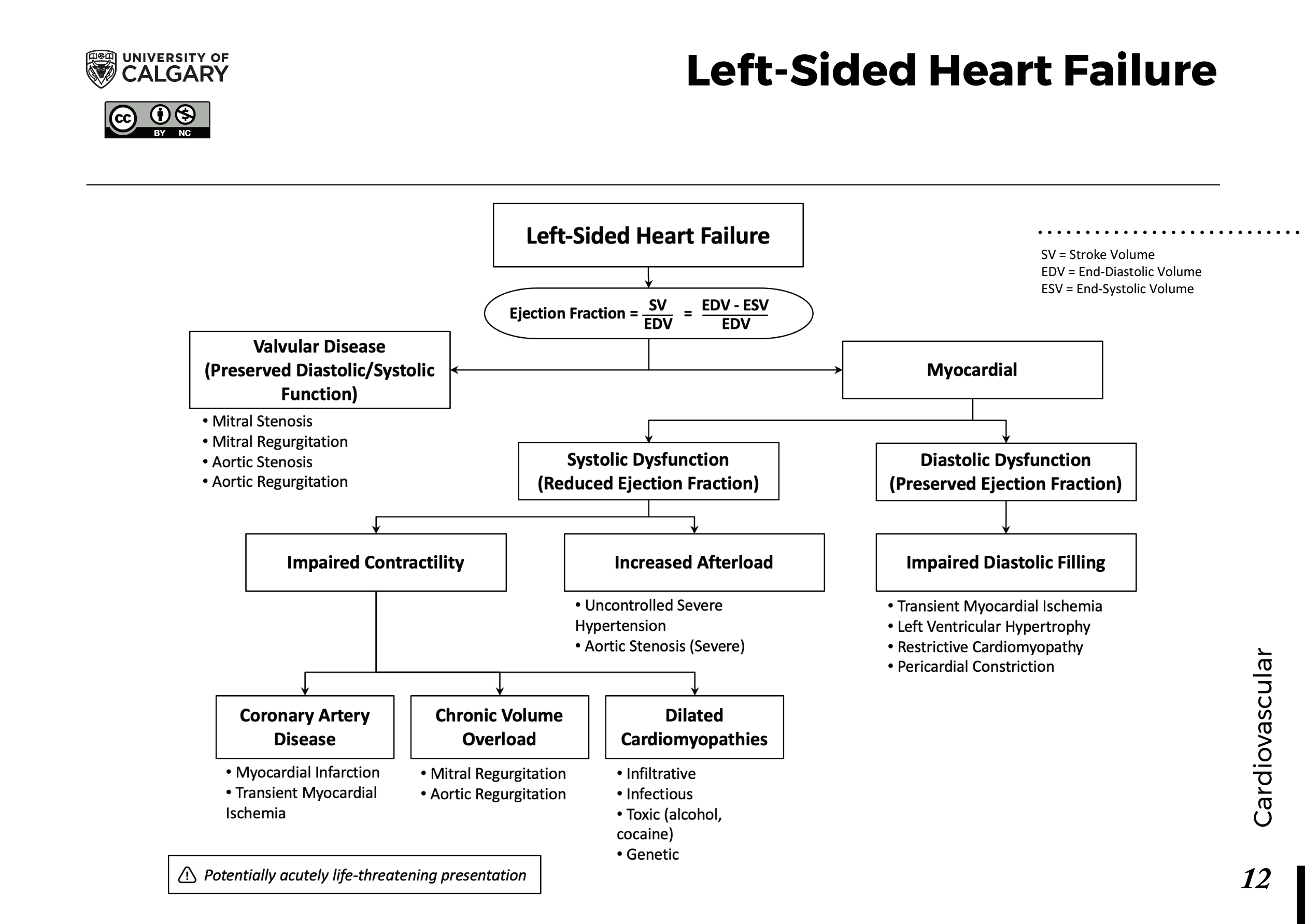 LEFT-SIDED HEART FAILURE Scheme