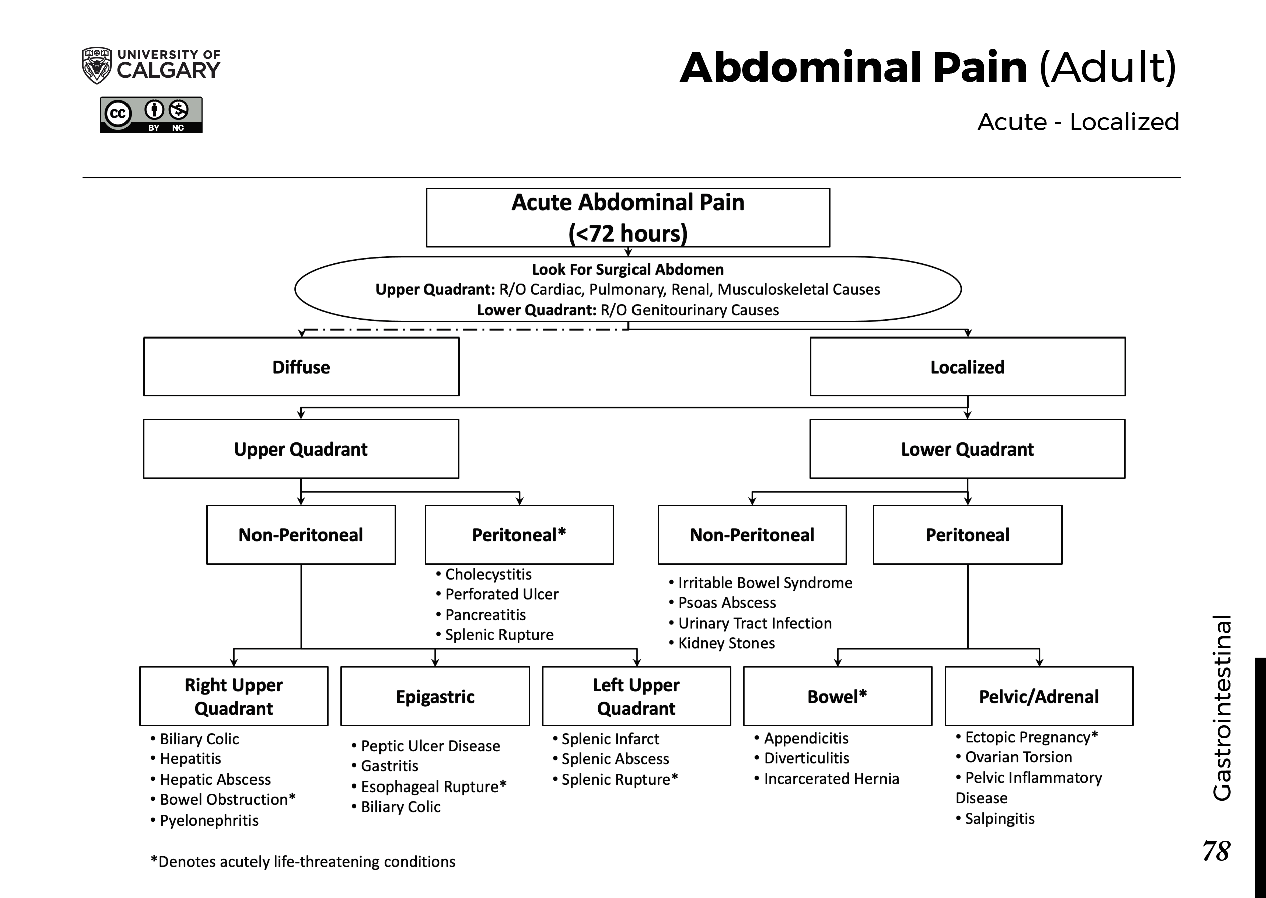 ABDOMINAL PAIN (ADULT): Acute – Localized Scheme