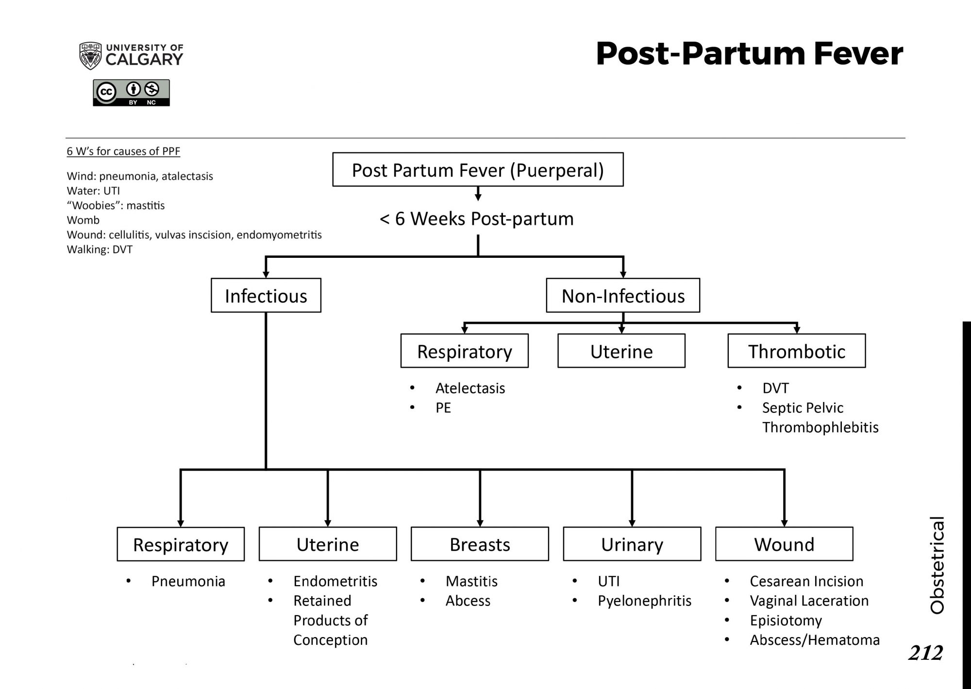 Post Partum Fever Scheme