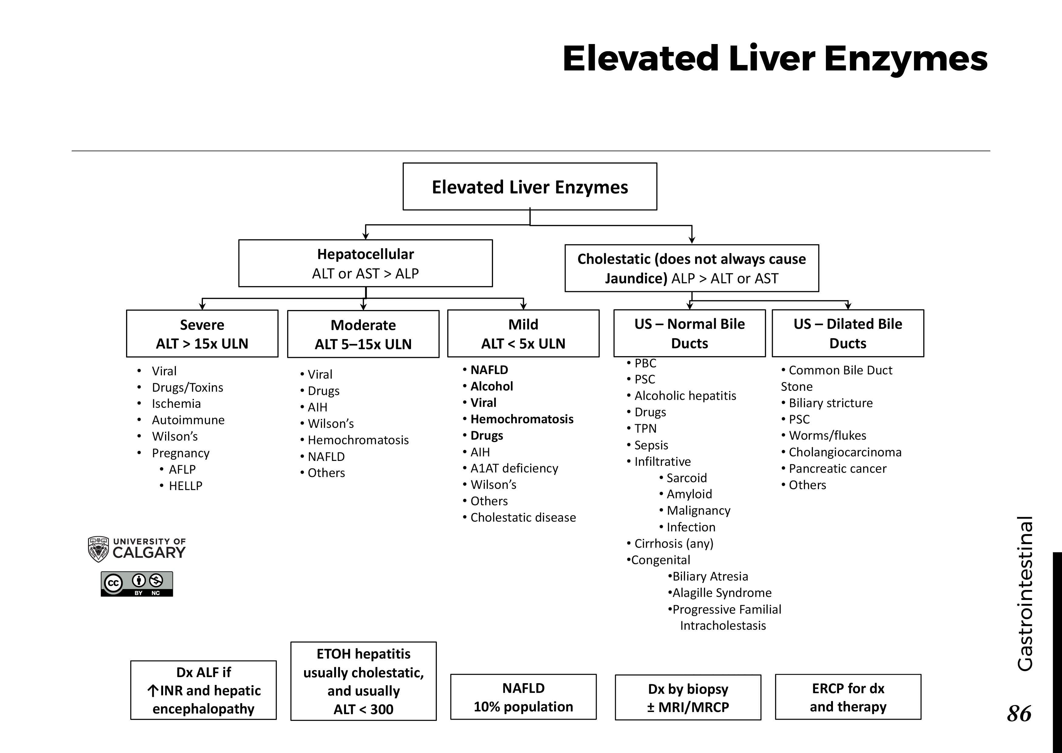 Liver Enzymes List at Dorothy Collins blog