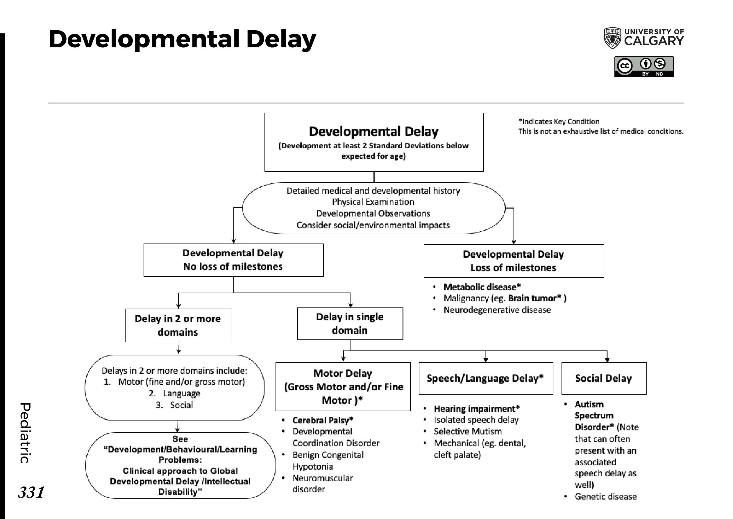 DEVELOPMENTAL DELAY Scheme