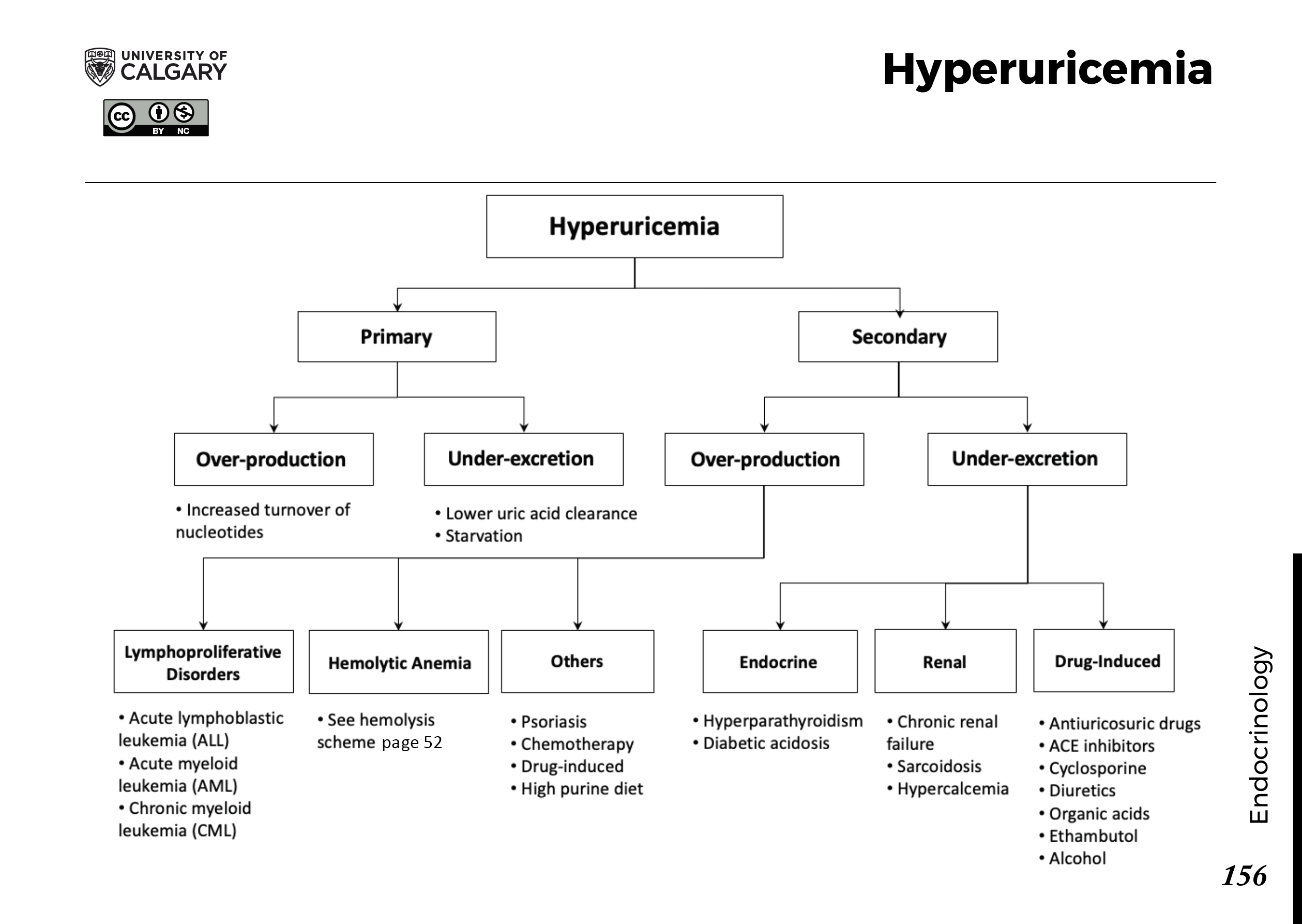 HYPERURICEMIA Scheme