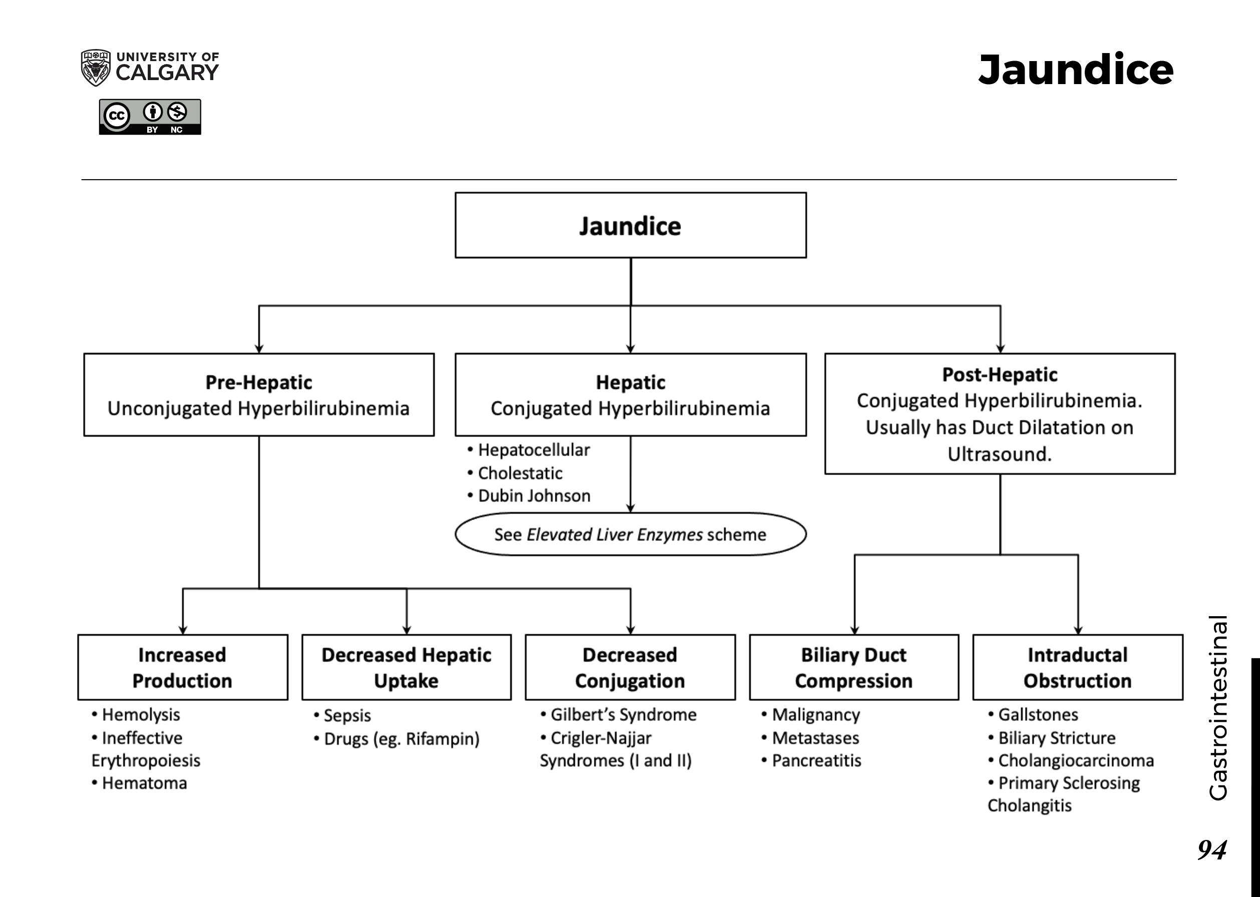 JAUNDICE Scheme