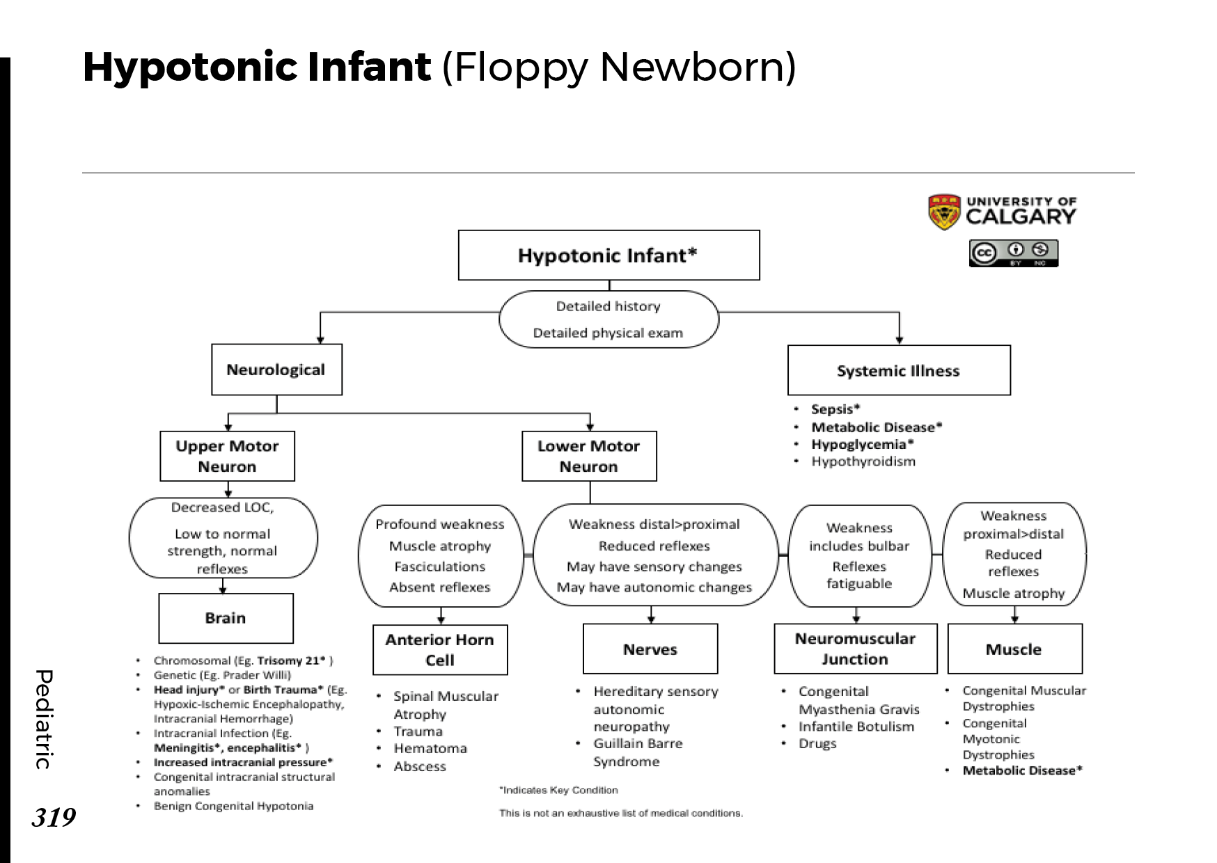 HYPTONIC INFANT (Floppy Newborn) Scheme