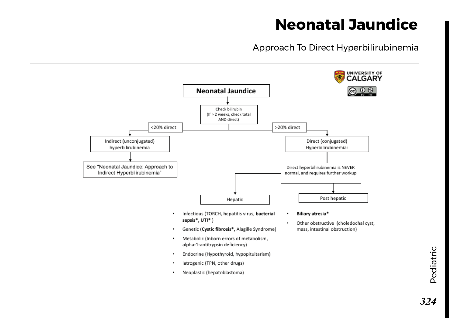 NEONATAL JAUNDICE: Approach To Direct Hyperbilirubinemia Scheme