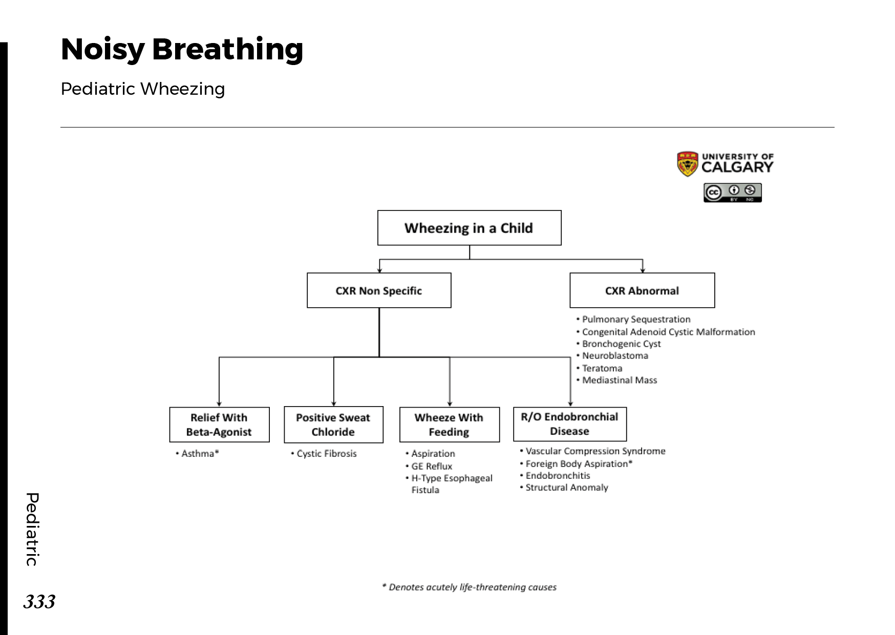 NOISY BREATHING: Pediatric Wheezing Scheme