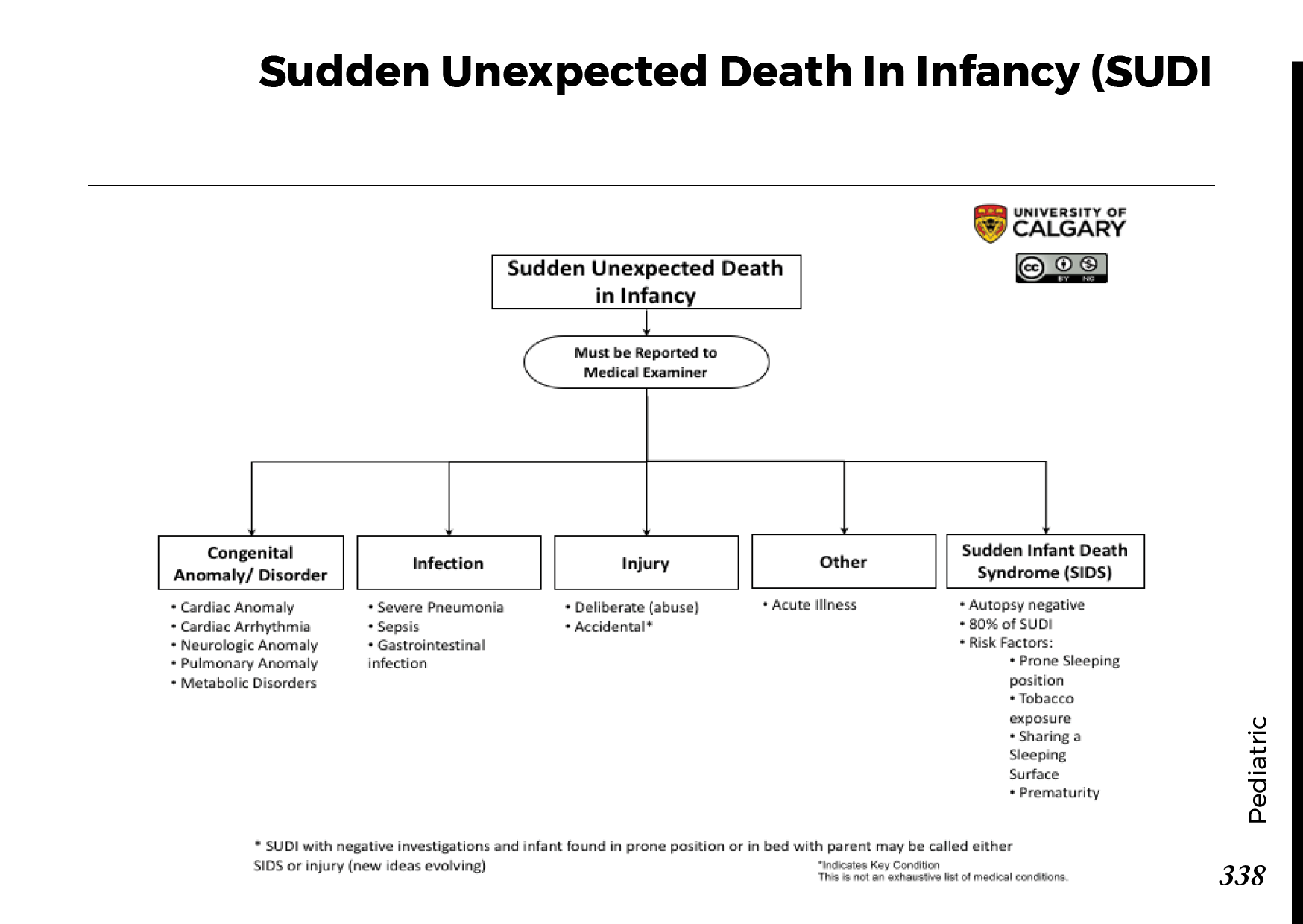 SUDDEN UNEXPECTED DEATH IN INFANCY (SUDI) Scheme