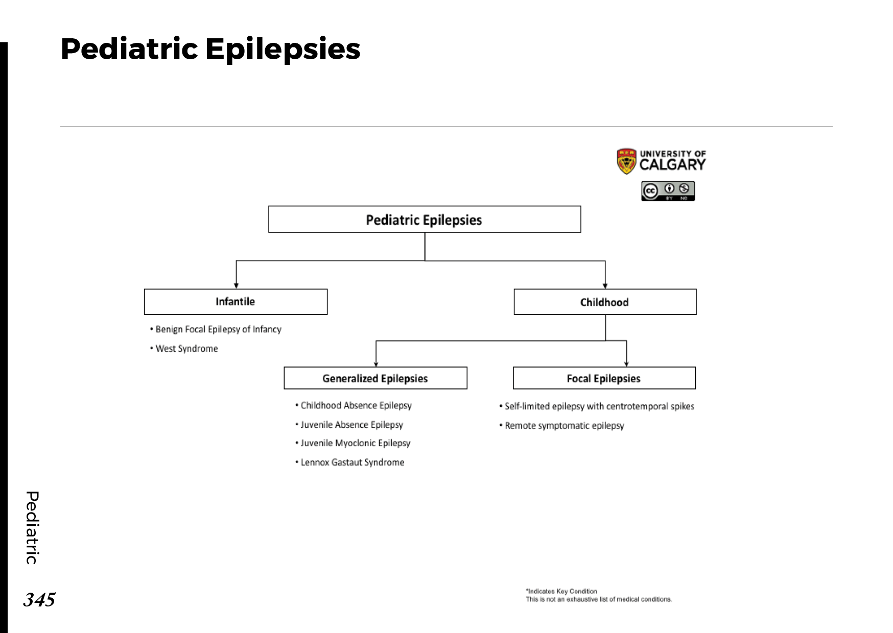 PEDIATRIC EPILEPSIES Scheme