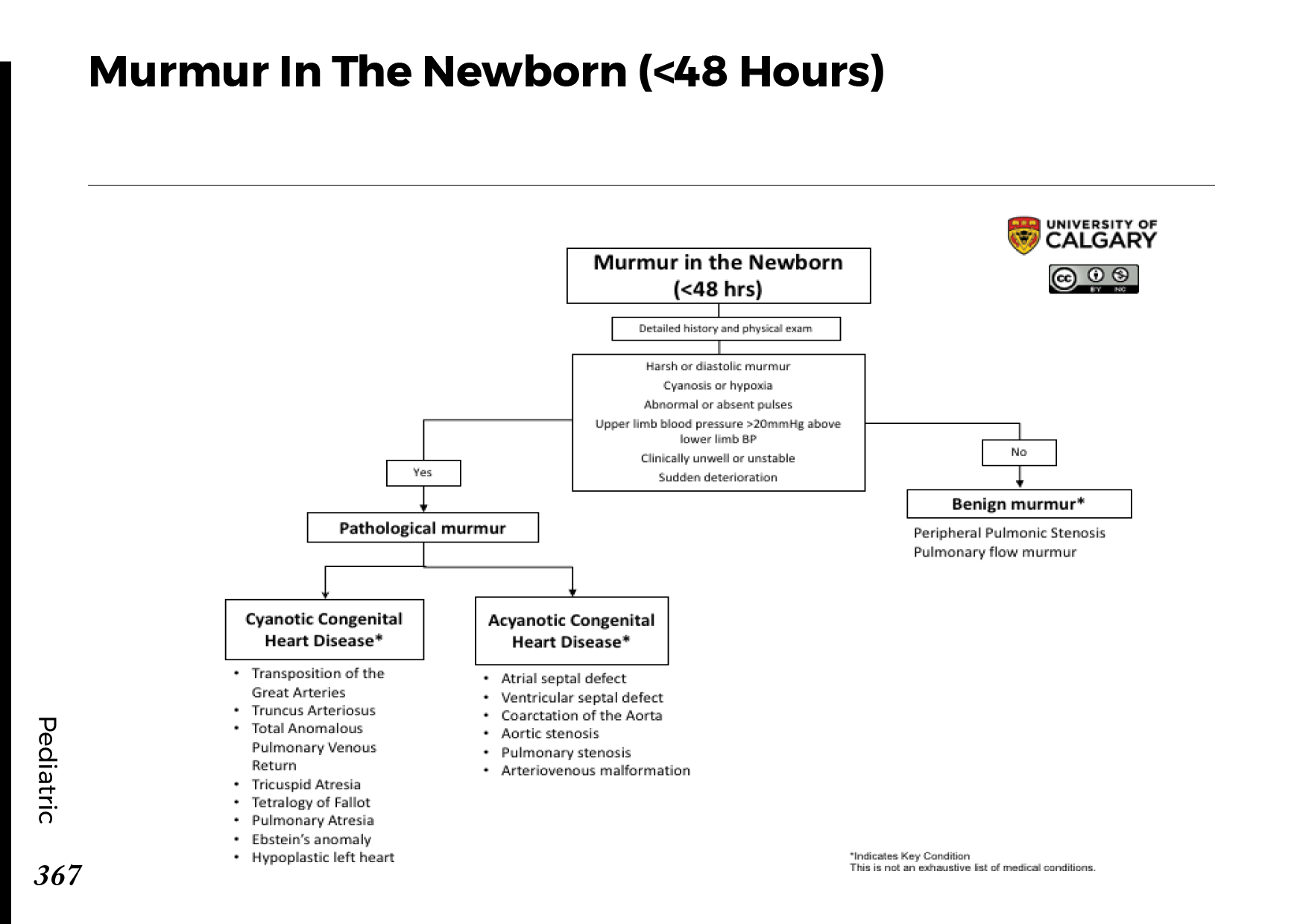 MURMUR IN THE NEWBORN (<48 HOURS) Scheme