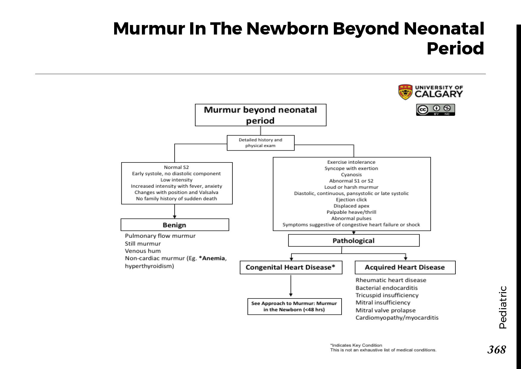 MURMUR IN THE NEWBORN BEYOND NEONATAL PERIOD Scheme