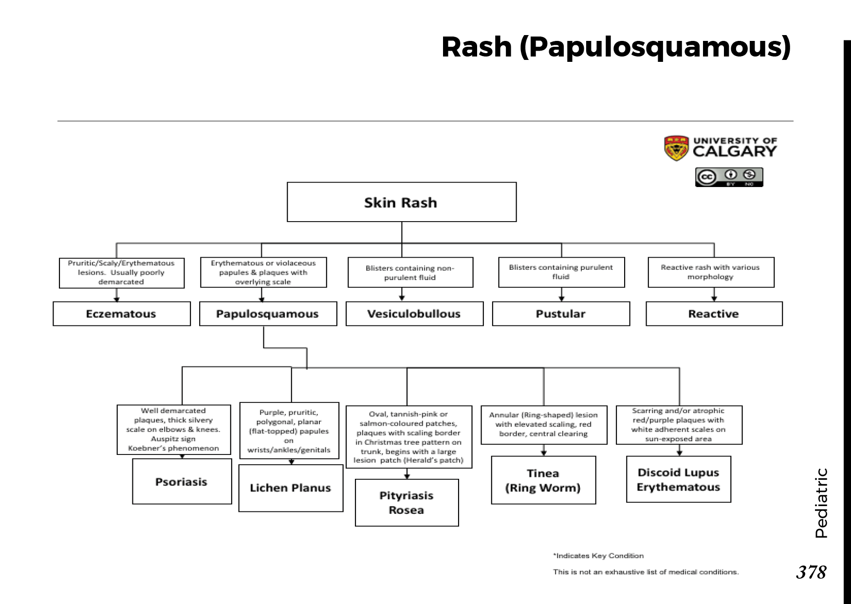 RASH (PAPULOSQUAMOUS) Scheme