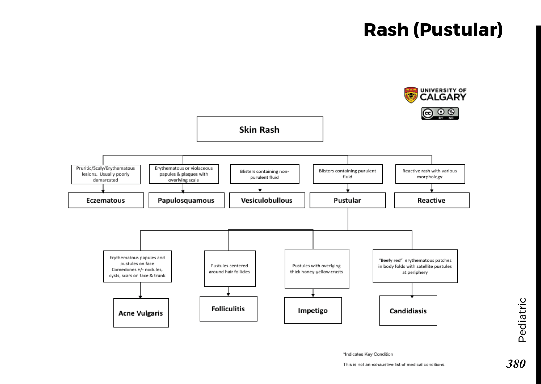RASH (PUSTULAR) Scheme