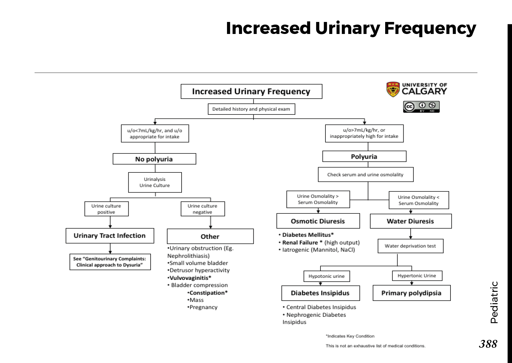 INCREASED URINARY FREQUENCY Scheme