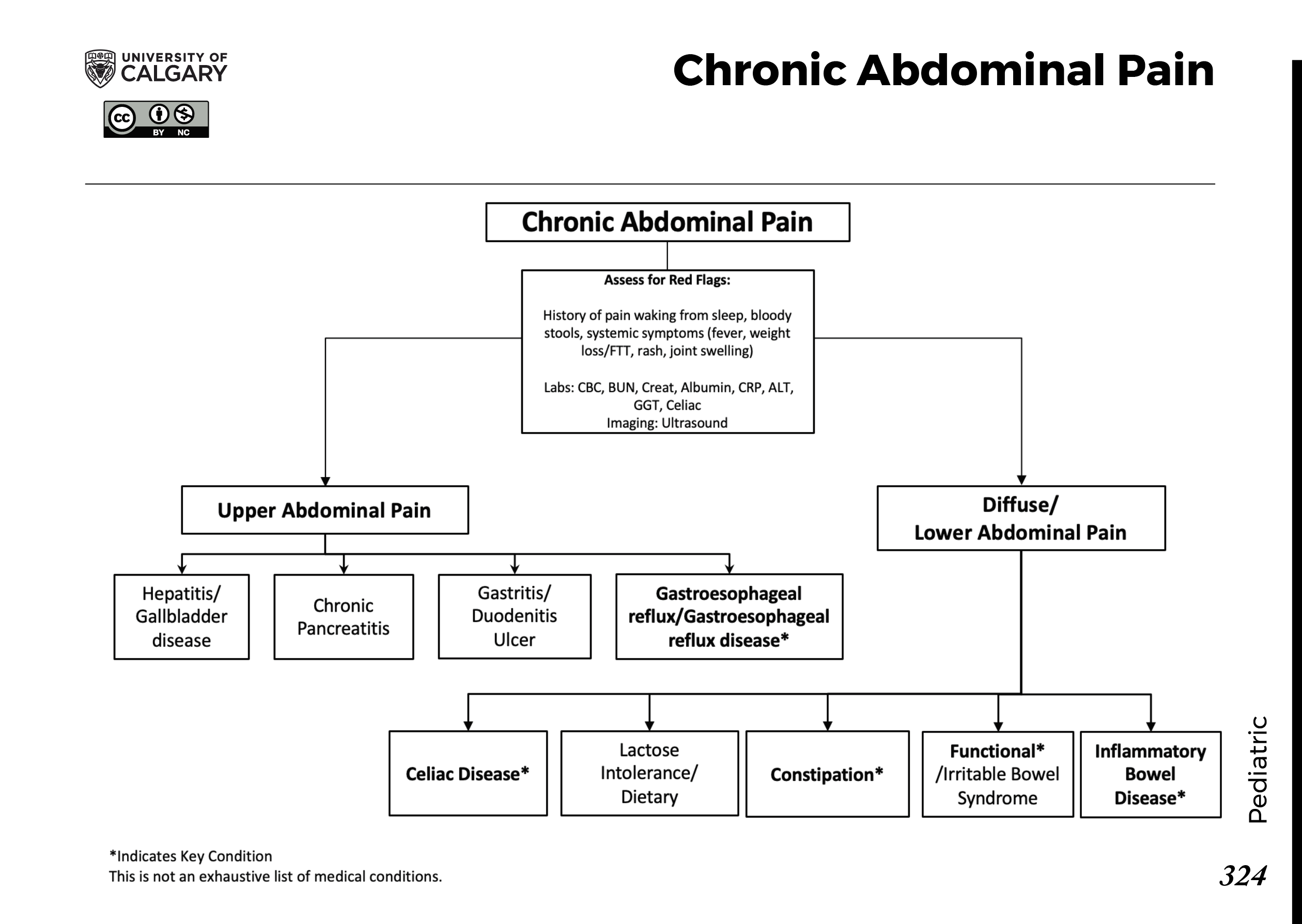 CHRONIC ABDOMINAL PAIN Scheme