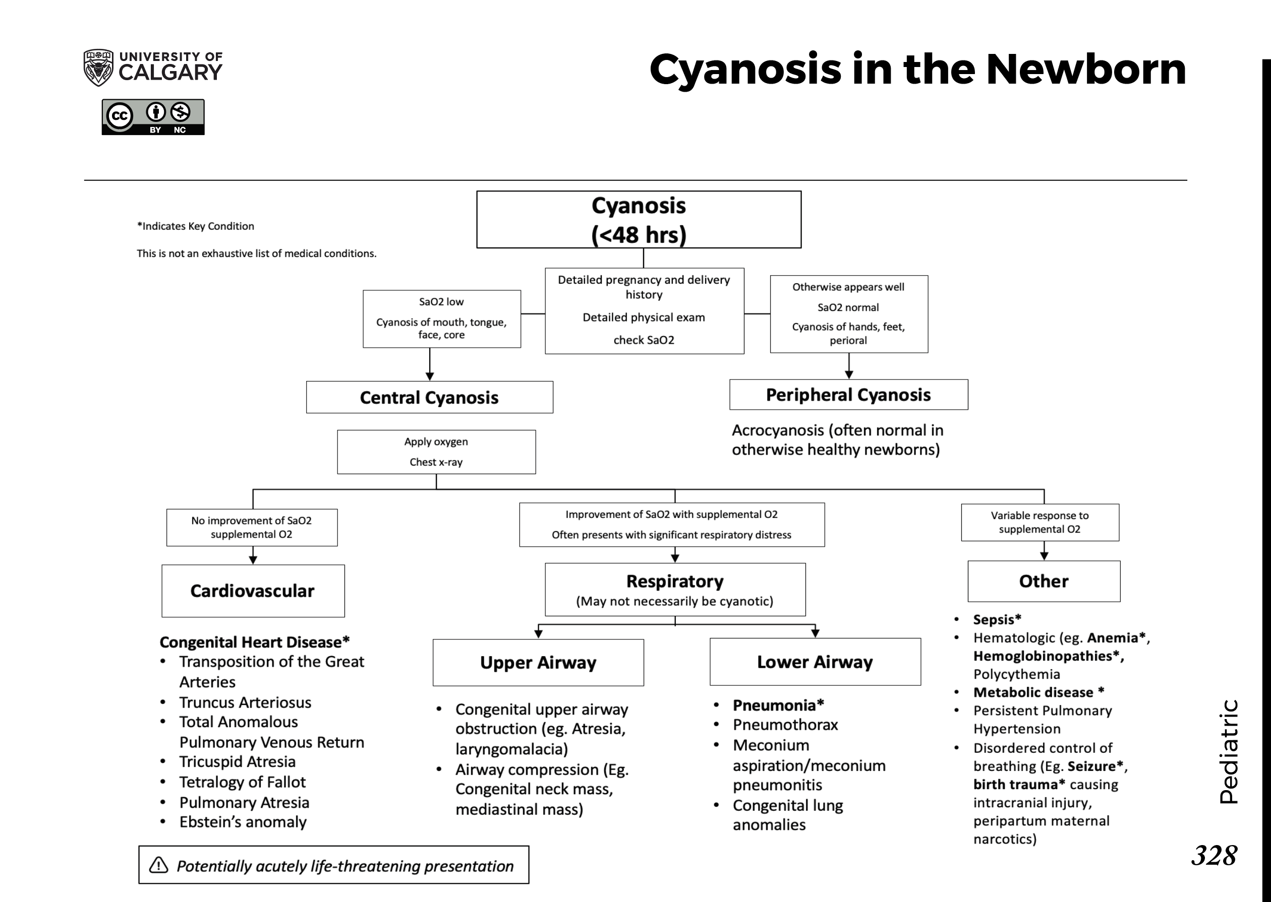 CYANOSIS IN THE NEWBORN Scheme