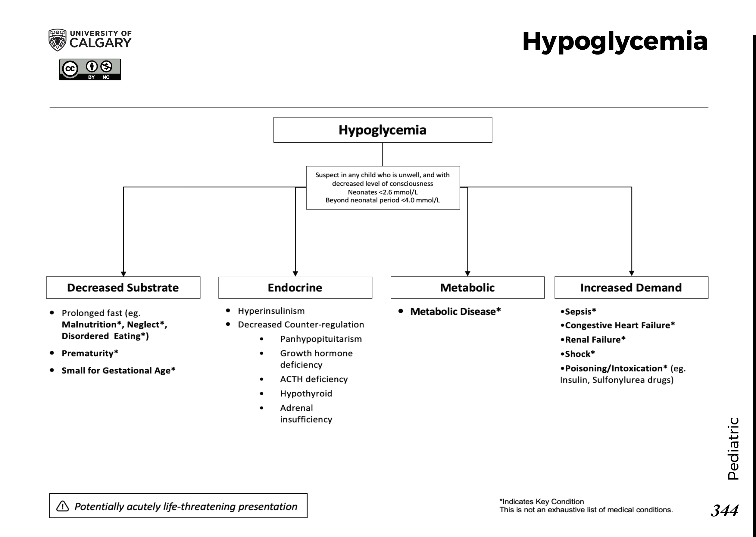 HYPOGLYCEMIA Scheme