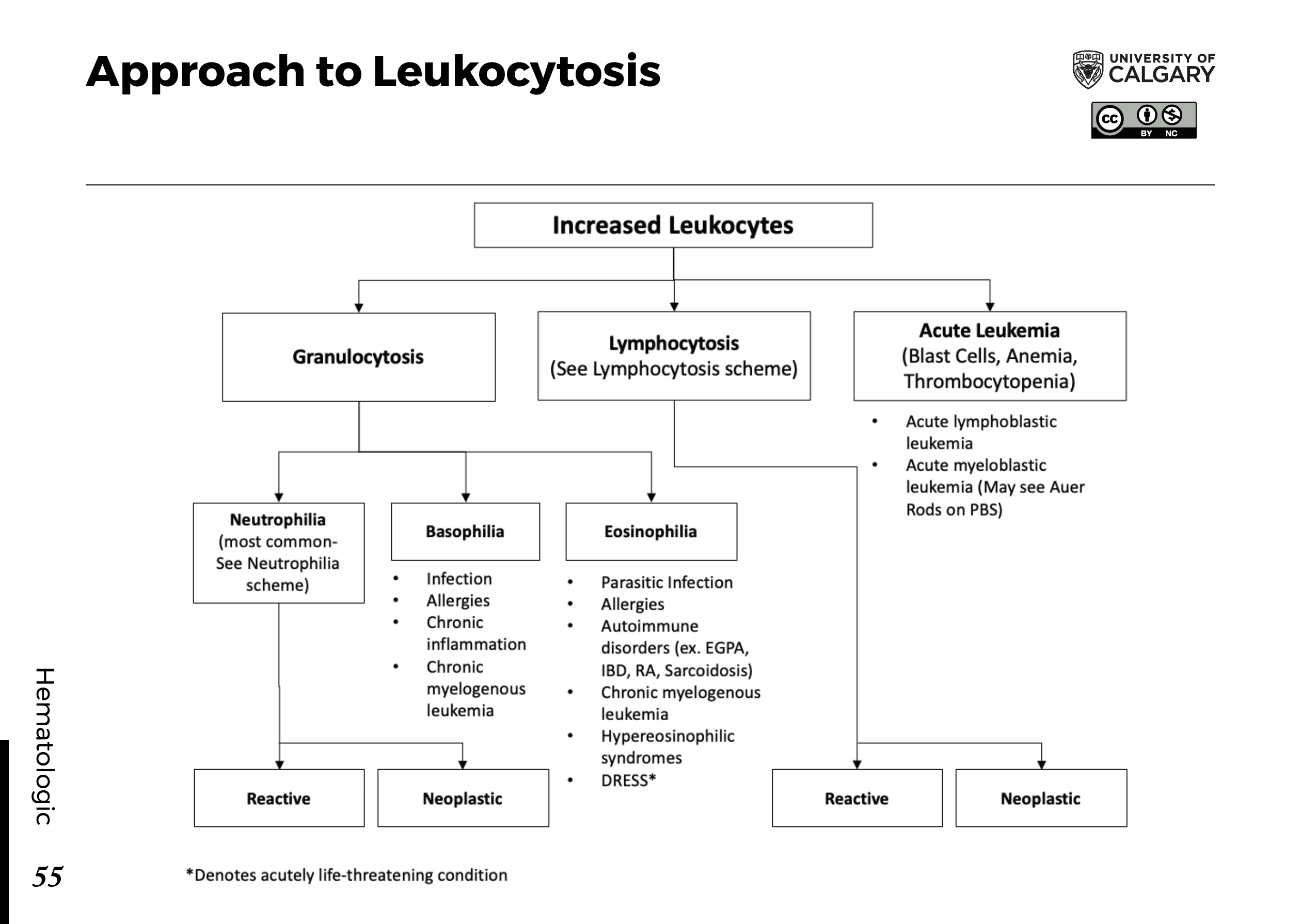 Approach to Leukocytosis Scheme